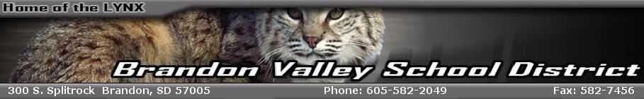 Brandon Valley School District 49-2